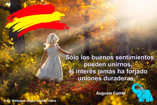 Una Enseñanza de Auguste Comte sobre La Unidad, en La Frase del Día del Centro de lavado de coches Elefante Azul de Avilés